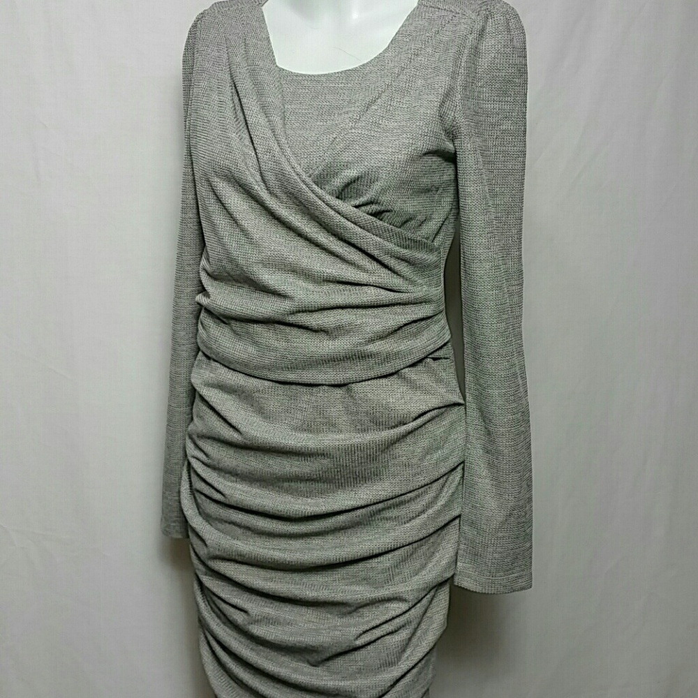 Unknown New Sz SMALL Ruchet long Sleeve Dress